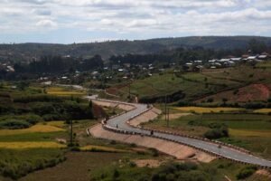 IMG_20230491_005607284