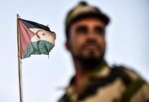 IMG_20230494_061545982