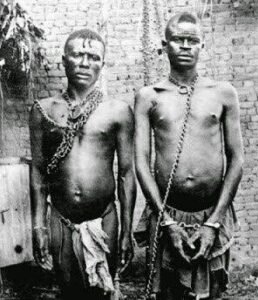 IMG_20230494_062215408