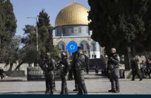 IMG_20230496_85557495