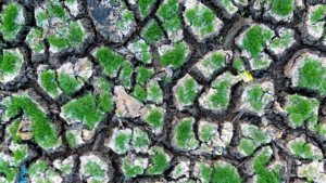 IMG_202405132_070051870