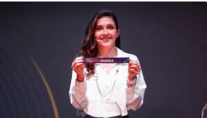 IMG_202406158_91137563