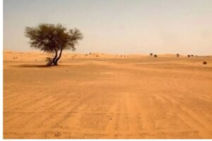 IMG_202406161_161717855