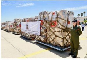 IMG_202406177_185025697