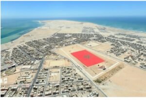 IMG_202408215_101118188