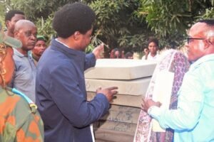 IMG_202409247_172656514