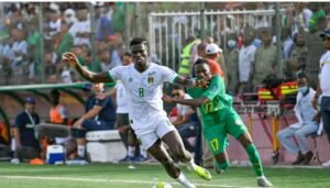 IMG_202409249_90711862