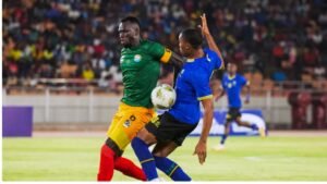 IMG_202409249_91843607