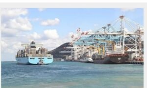 IMG_202409252_94138980