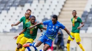 IMG_202409255_113413059