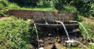 IMG_202409256_130424122