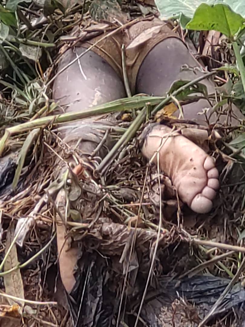 Nord-Kivu : Des dégâts humains et matériels enregistrés après une grande pluie qui s’est abattue sur la ville de Béni 