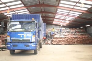 IMG_202410276_133329211