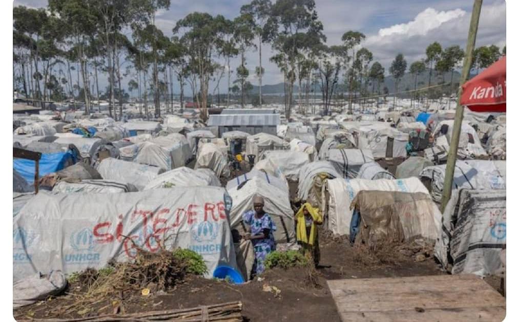 Dégradation de la situation humanitaire au Nord Kivu: Me Jean Paul Lumbulumbu préconise un plan de sortie 