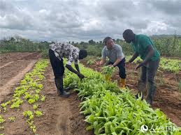 Faire bénéficier l’Afrique de la technologie agricole chinoise, rêve d’un étudiant africain