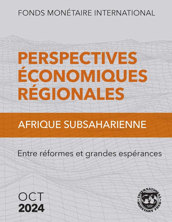 Afrique Subsaharienne : Entre réformes et grandes espérances