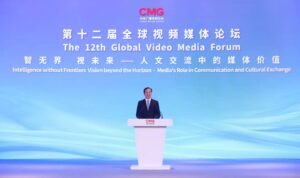 IMG_202412338_233511982