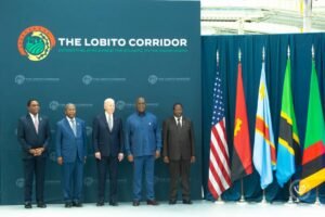 IMG_202412339_222136622