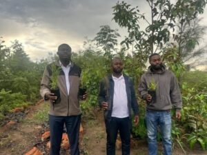 IMG_202412341_092623896