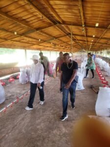 IMG_202412341_224851879