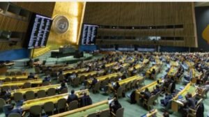 IMG_202412341_94519310