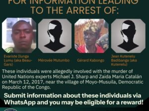 IMG_202412346_114512422