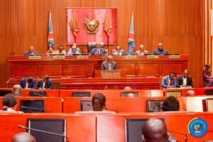 IMG_202412346_115755639