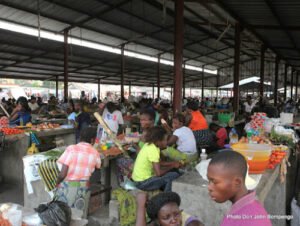 IMG_202412348_020703582