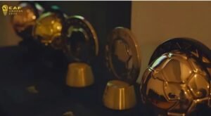 IMG_202412351_121018011