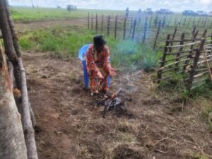 IMG_202412351_134144394