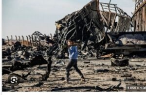 IMG_202412352_20835785