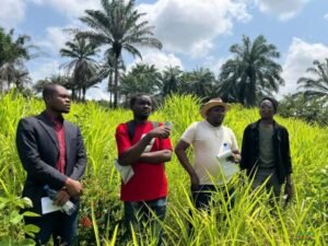 IMG_202412354_214003139