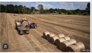 IMG_202412359_82413956