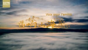 IMG_202412361_154545233