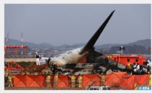 IMG_202412365_103547547