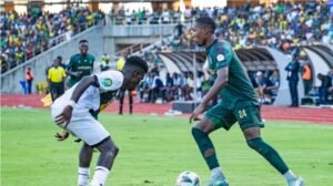 IMG_20250108_95249842