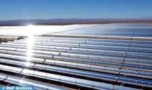 IMG_20250112_090607814