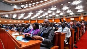 IMG_20250112_091047368