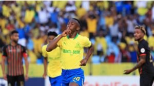 IMG_20250120_104649513