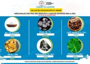 IMG_20250120_171217018