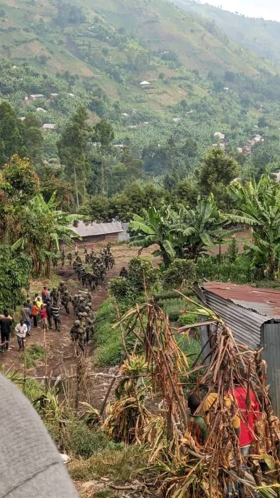 Beni/Nord-Kivu : Une attaque rebelle fait un mort et des dégâts matériels importants à Kokola 