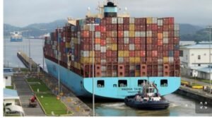 IMG_20250238_13639571