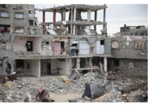 IMG_20250238_14016152