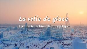 IMG_20250239_115844278