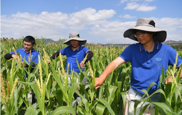 La Chine prône une autonomie de haut niveau en matière de technologie agricole