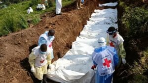 IMG_20250252_111432420