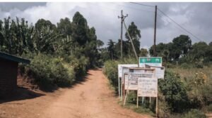 IMG_20250254_101635733