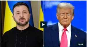 IMG_20250258_60005382