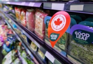 IMG_20250364_150929531