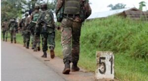 IMG_20250369_163931398